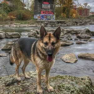 Meet your Posher, Aaron